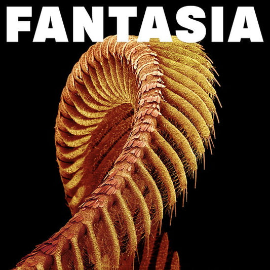 SLIFT - FANTASIA - CD