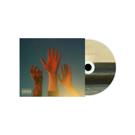 BOYGENIUS - RECORD - CD