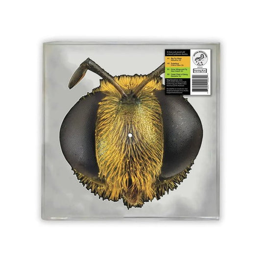 KING GIZZARD & THE LIZARD WIZARD - BIG FIG WASP: BEE/BUG SHAPED VINYL - LP