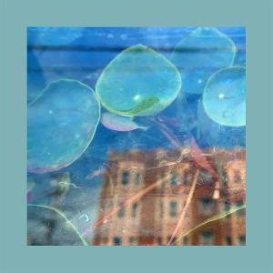 REDS PINKS & PURPLES - ACKNOWLEDGE KINDNESS - CD
