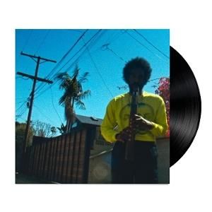 ANDRE 3000 - MOVING DAY - LP
