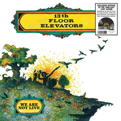 13TH FLOOR ELEVATORS - WE ARE NOT LIVE - LP