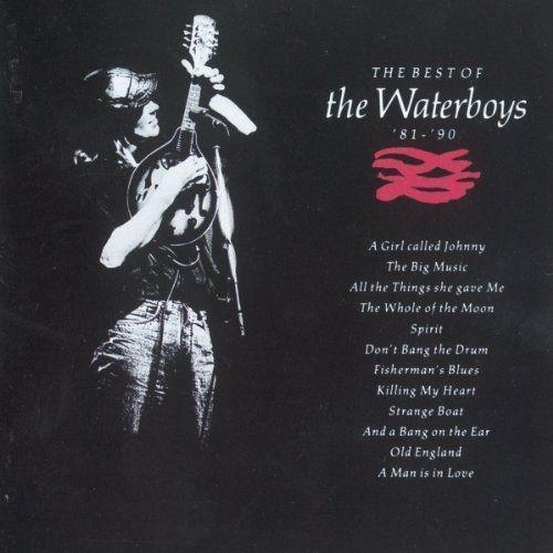 WATERBOYS - BEST OF THE WATERBOYS '81-'90 (2LP) - LP