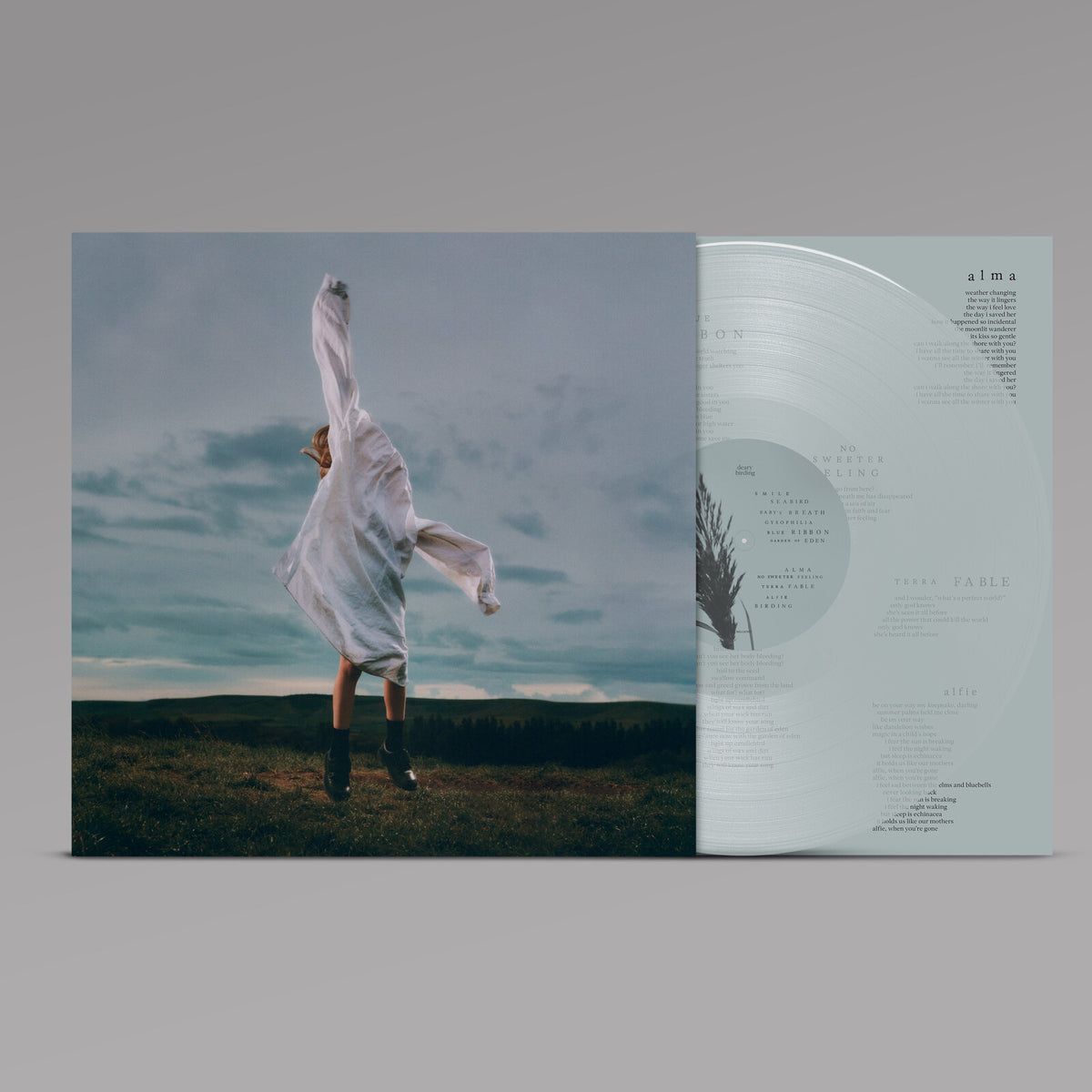 DEARY - BIRDING : TRANSPARENT PALE BLUE VINYL - LP