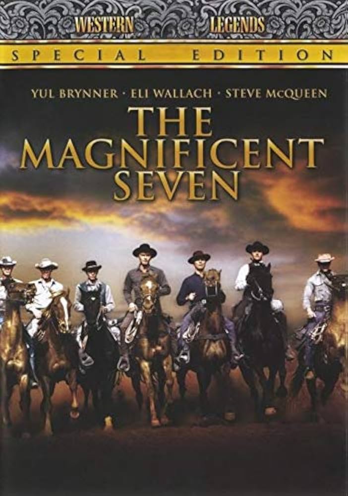 MAGNIFICENT SEVEN - FILM - DVD