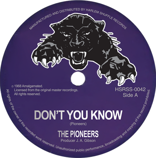 PIONEERS - DON'T YOU KNOW/ME NAW GO A BELIEVE - 7