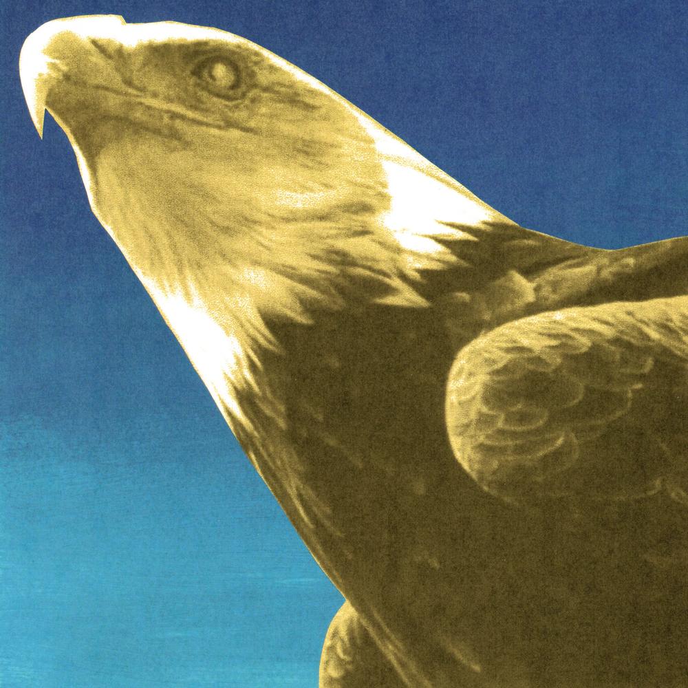 PROTOMARTYR - HOTEL USONA: GOLD VINYL - LP
