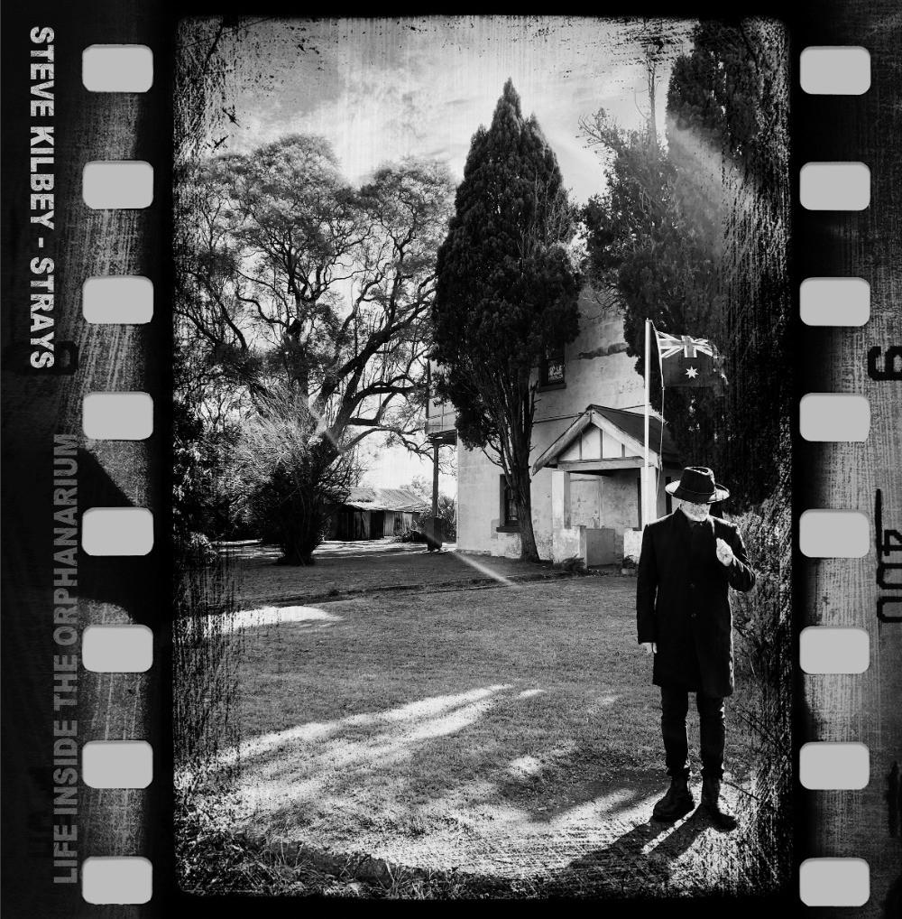 KILBEY, STEVE - STRAYS: LIFE INSIDE THE ORPHANARIUM - CD