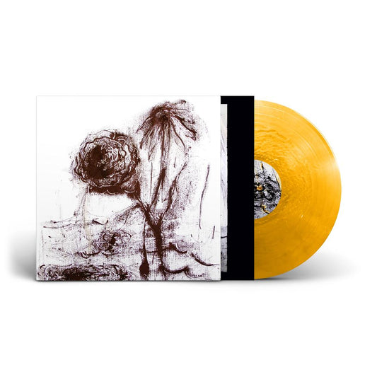 BASINSKI, WILLIAM - PASSING THE CUP OF SORROWS (GAMBOGE) - LP