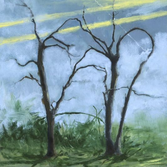 DAFFO - WHERE THE EARTH BENDS - CD