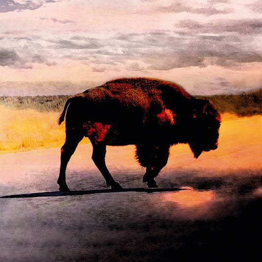 PLANT, ROBERT - SAVING GRACE - CD