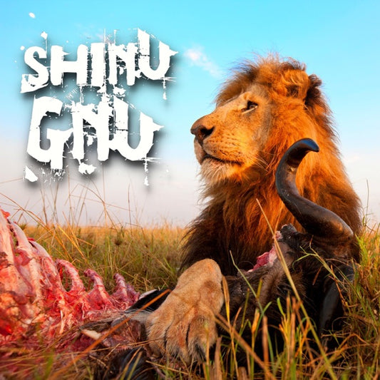 SHINU GNU - SERVE HORS D'OEUVRES (EP) - CD