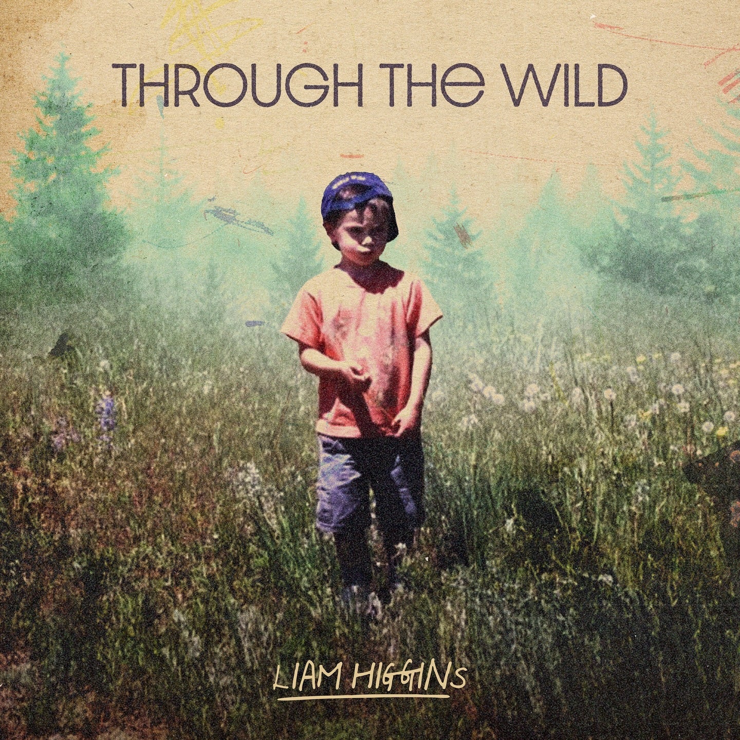 HIGGINS, LIAM - THROUGH THE WILD - CD