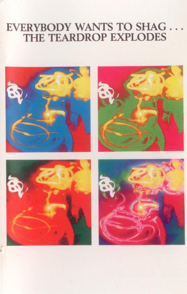 TEARDROP EXPLODES - EVERYBODY WANTS TO SHAG (CASSETTE) - CS