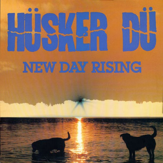 HUSKER DU - NEW DAY RISING - LP