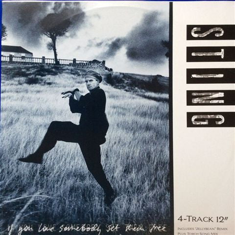 STING - IF YOU LOVE SOMEBODY SET THEM FREE (SA) - 12