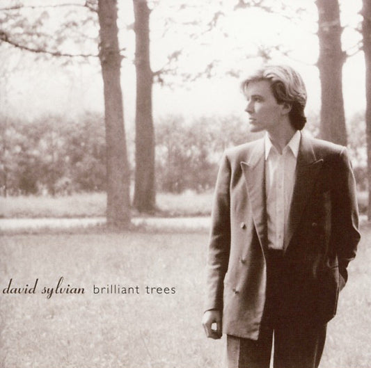 SYLVIAN, DAVID - BRILLIANT TREES - CD