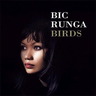 RUNGA, BIC - BIRDS - CD