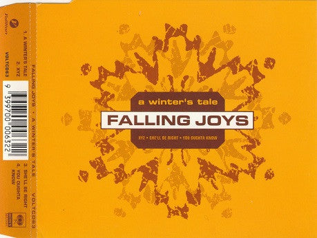 FALLING JOYS - A WINTER'S TALE - CD5
