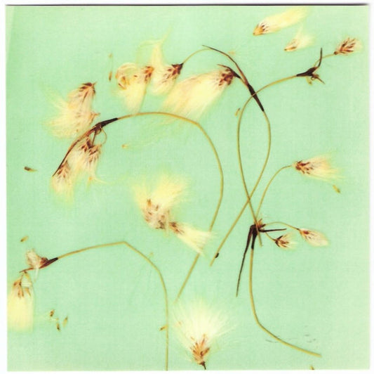 KILBEY, JOHN - CATCHING SOME Z'S - CD