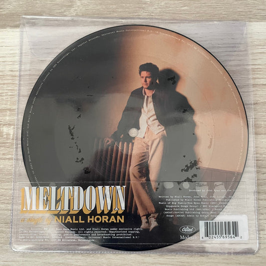 HORAN, NIALL - MELTDOWN : PICTURE DISC - 7
