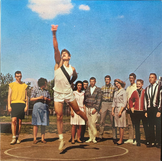 GUIDED BY VOICES - NOWHERE TO GO BUT UP - LP