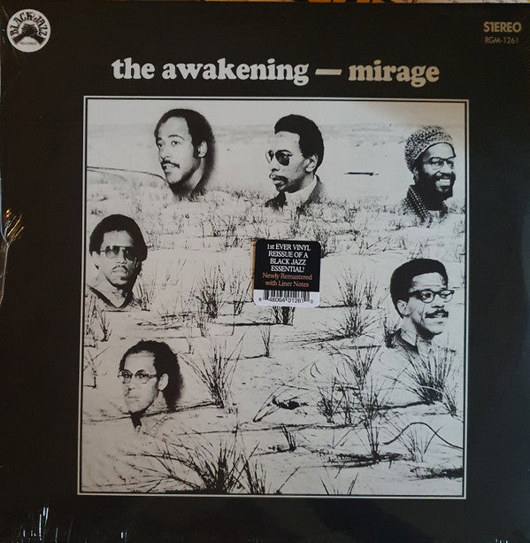 AWAKENING - MIRAGE: BLUE/BLACK SWIRL - LP