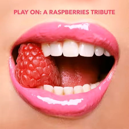 RASPBERRIES / TRIBUTE - PLAY ON : RASPBERRIES TRIBUTE (2CD SET) - CD