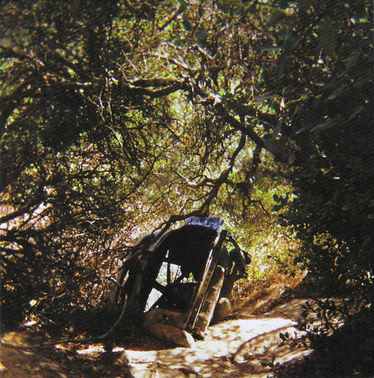 SEGALL, TY - POSSESSION - CD