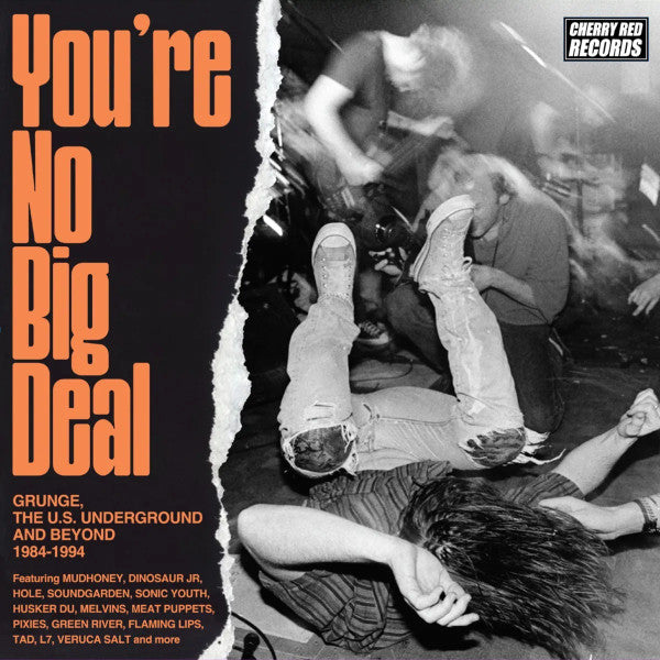 VARIOUS - YOU'RE NO BIG DEAL: 4CD SET - CD