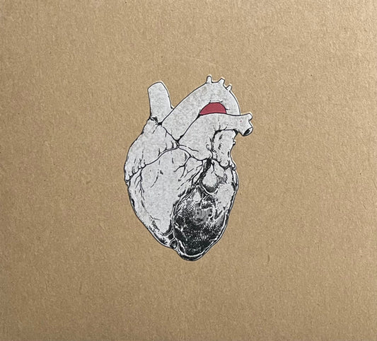 SWANS - BEGGAR : 2CD SET - CD