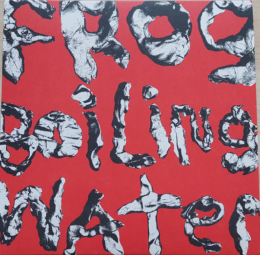 DIIV - FROG IN BOILING WATER : BLACK VINYL - LP