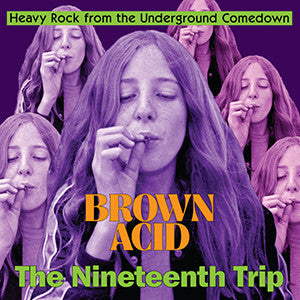 VARIOUS - BROWN ACID : NINETEENTH TRIP - LP