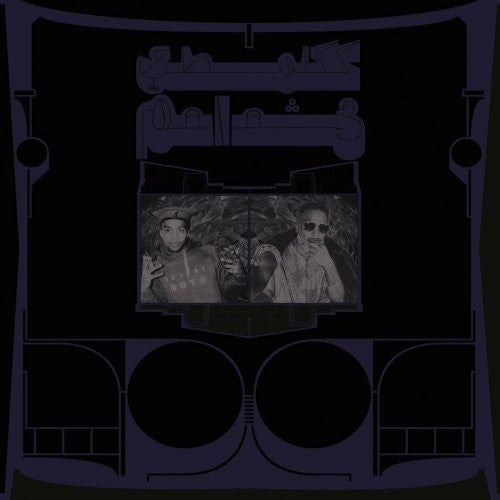 SHABAZZ PALACES - EXOTIC BIRDS OF PREY - CD