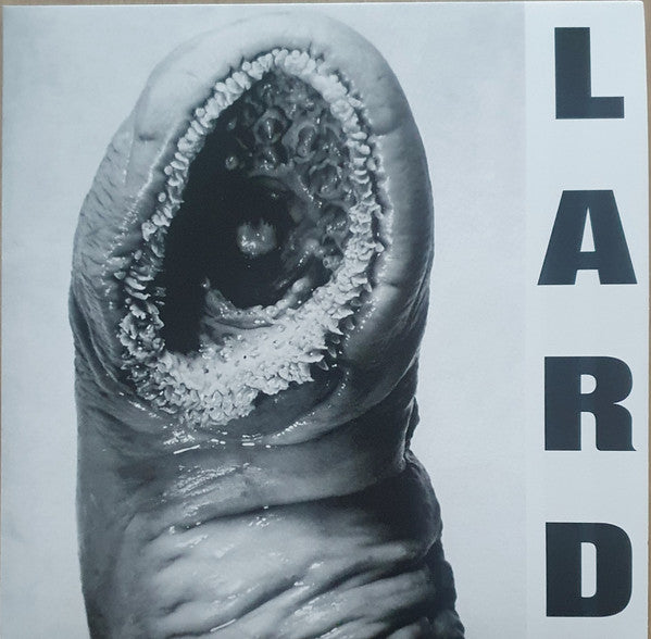 LARD - POWER OF LARD : WHITE VINYL (2025) - LP