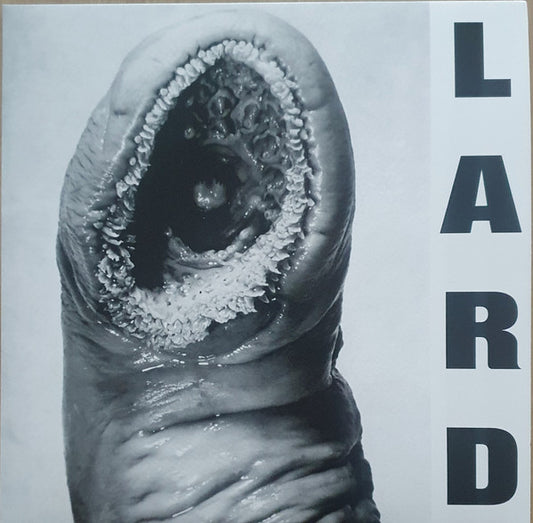 LARD - POWER OF LARD : WHITE VINYL (2025) - LP