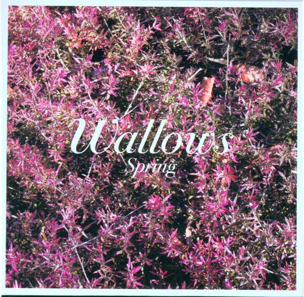 WALLOWS - SPRING - CD