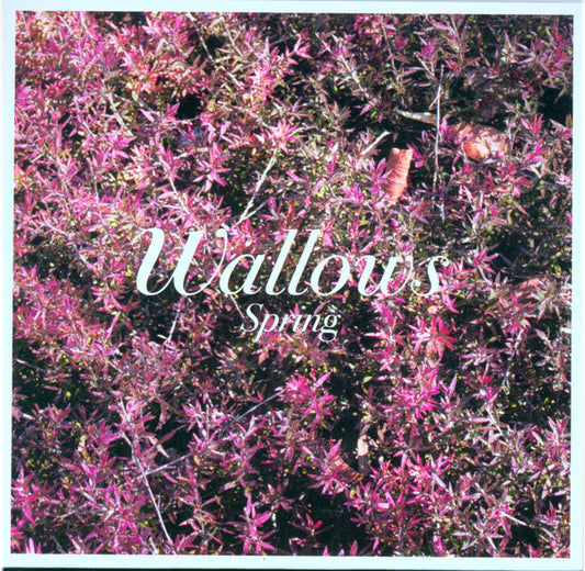 WALLOWS - SPRING - CD