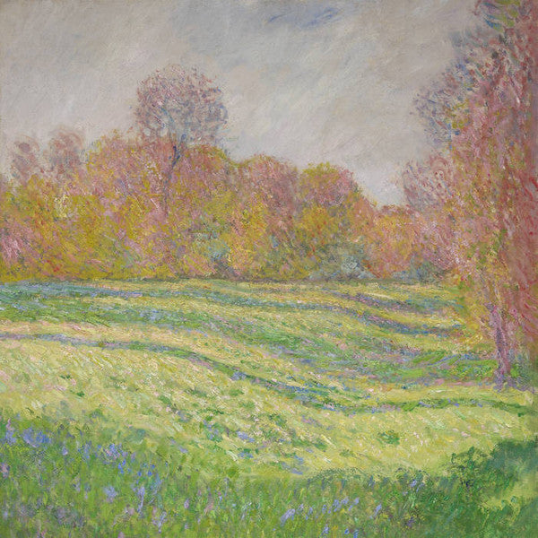 STRAWBERRY GUY - SUN OUTSIDE MY WINDOW - CD