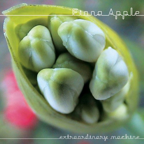 APPLE, FIONA - EXTRAORDINARY MACHINE - CD