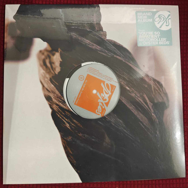 PIXIES - NIGHT THE ZOMBIES CAME - LP