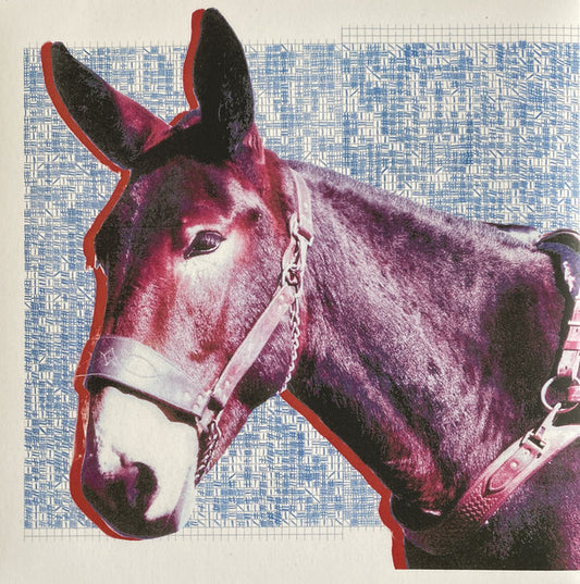 PROTOMARTYR - ULTIMATE SUCCESS TODAY - LP