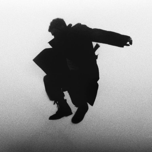 DEL WATER GAP - CHASING THE CHIMERA : CLEAR VINYL - LP