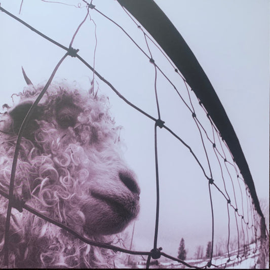 PEARL JAM - VS : CLEAR VINYL 30TH ANNIVERSARY - LP