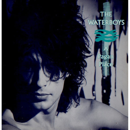 WATERBOYS - PAGAN PLACE (SOUTH AFRICAN PRESS) - LP