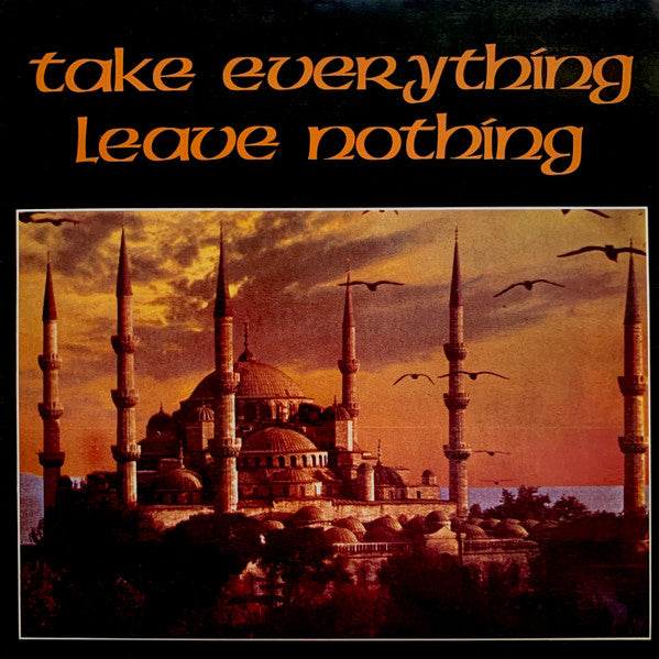 VARIOUS - TAKE EVERYTHING LEAVE NOTHING : 2LP SET - LP