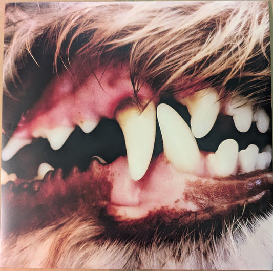 LUCIUS - LUCIUS : LIQUID GOLD VINYL - LP