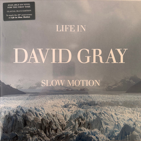 GRAY, DAVID - LIFE IN SLOW MOTION -20TH ANNIVERSARY ED - LP
