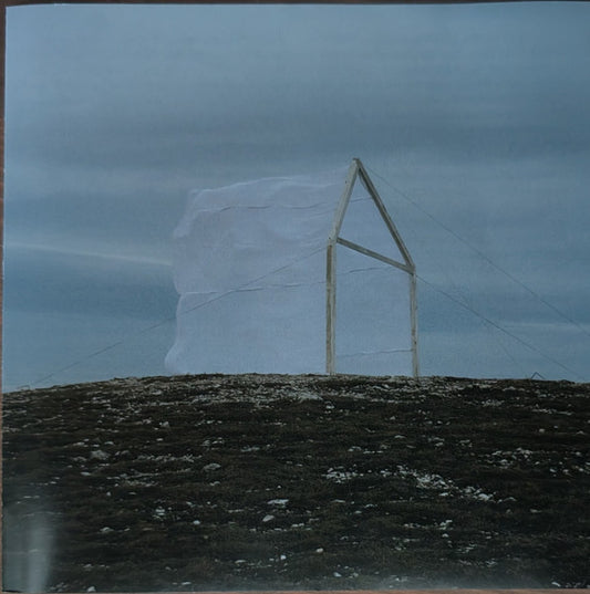 FOR THOSE I LOVE - CARVING THE STONE - CD