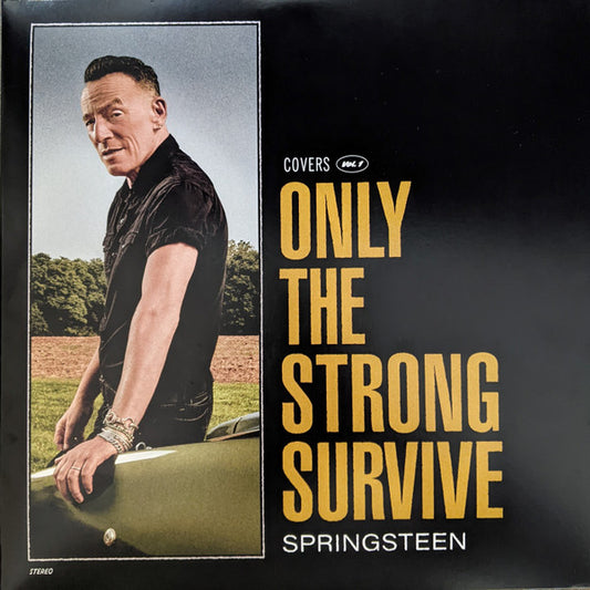 SPRINGSTEEN, BRUCE - ONLY THE STRONG SURVIVE : 2LP SET - LP